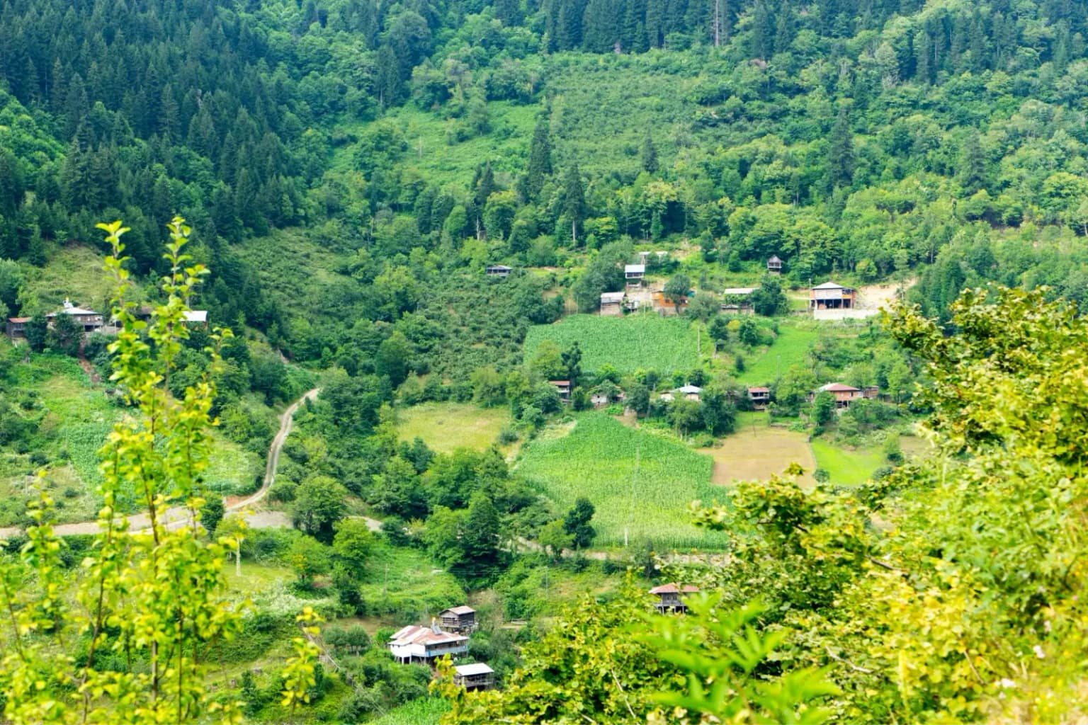 artvin