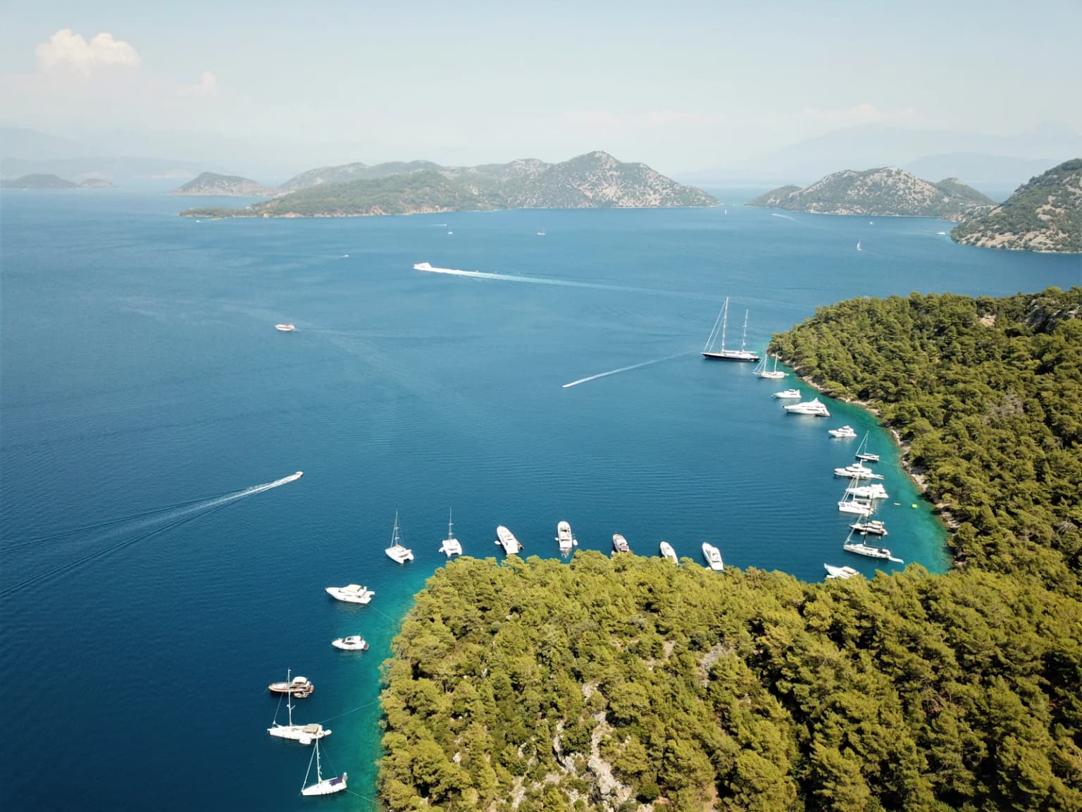 gocek