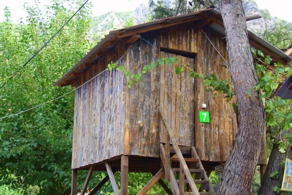 Sabans Tree House